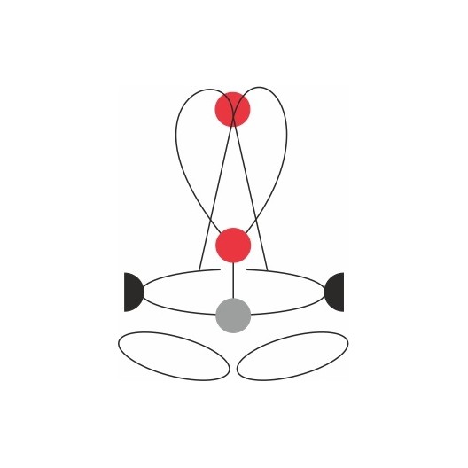 HARNAIS COMPLET GOLDEN TOP PLUS CAMP