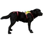 HARNAIS D'HELITREUILLAGE KRONOS POUR CHIEN