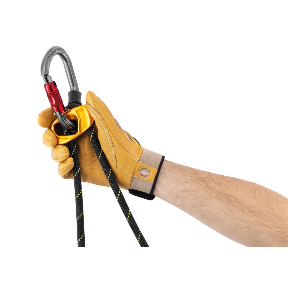 LONGE DOUBLE PROGRESS ADJUST-Y