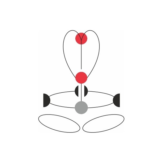 HARNAIS ANTICHUTE GT TURBO CAMP