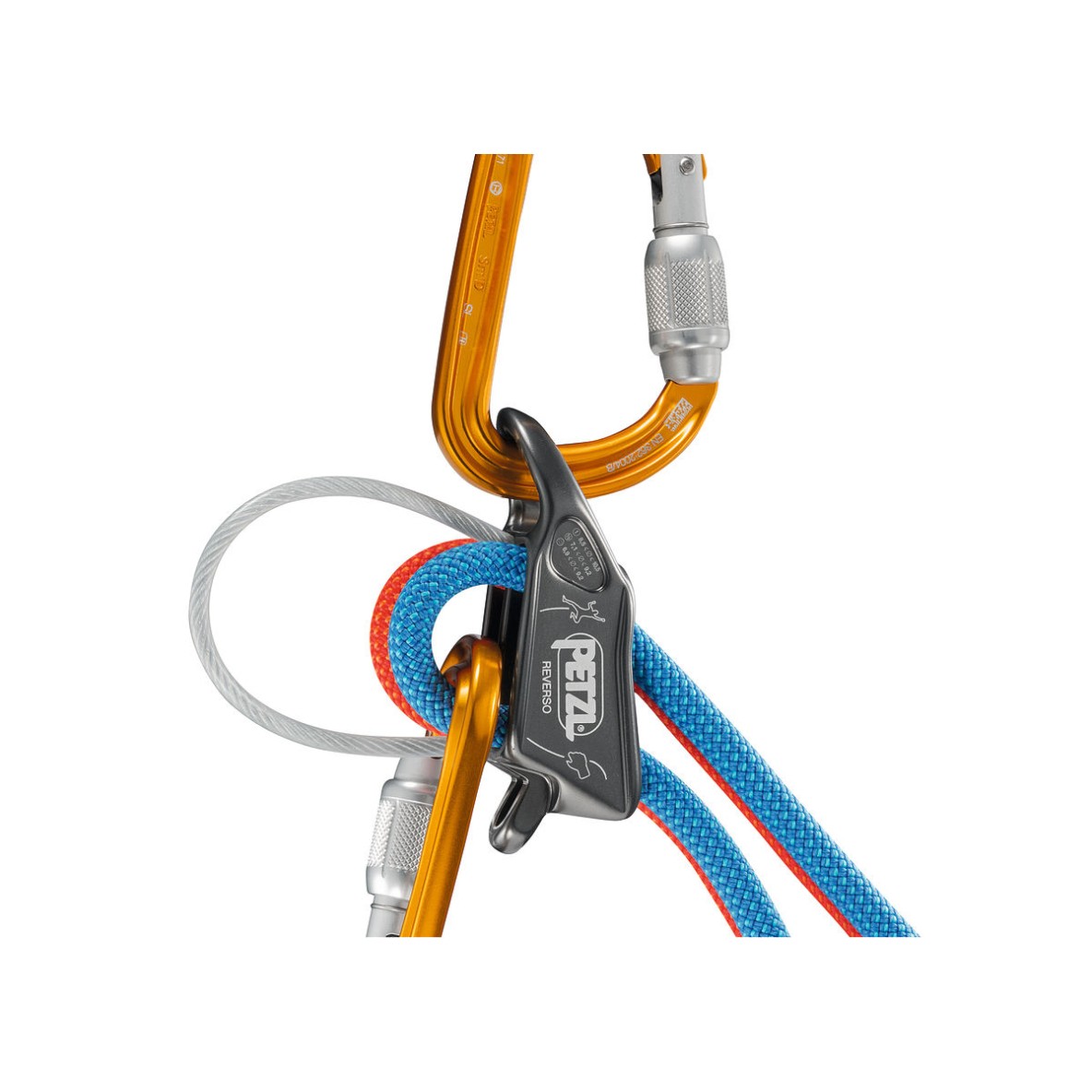 ASSUREUR PETZL REVERSO