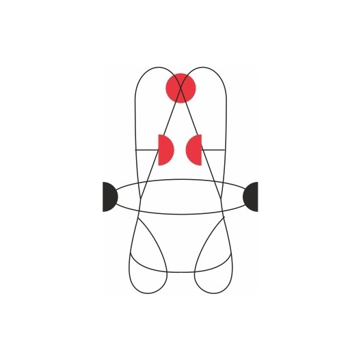 HARNAIS COMPLET GRAVITY CAMP