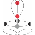 HARNAIS ANTICHUTE GT TURBO CAMP