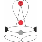 HARNAIS COMPLET GOLDEN TOP PLUS CAMP