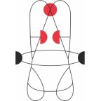 HARNAIS COMPLET GRAVITY CAMP