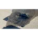 OBTURATEUR DE CANALISATION EN NITRILE