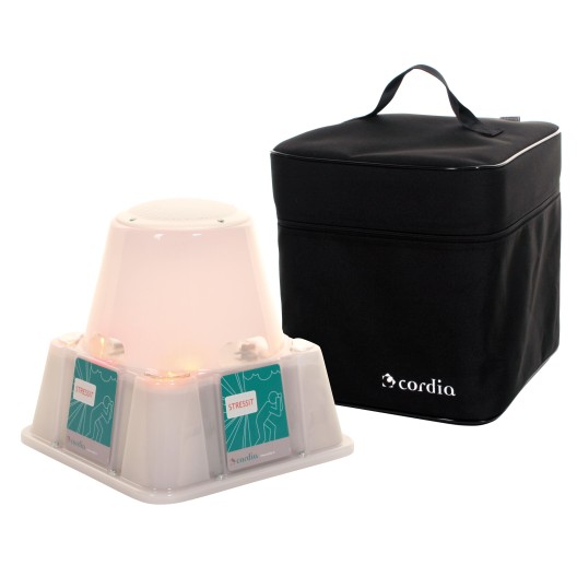 SIMULATEUR SONORE ET VISUEL D'INTERVENTION STRESSIT