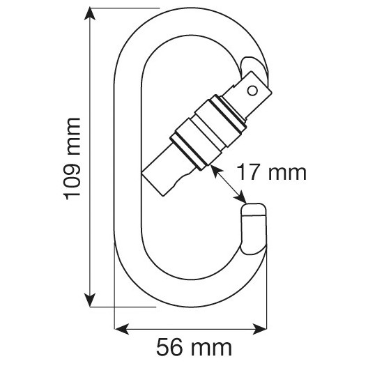 MOUSQUETON ACIER CAMP OVAL PRO LOCK ACIER A VIS