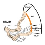 DESCENDEUR AUTOFREINANT DRUID