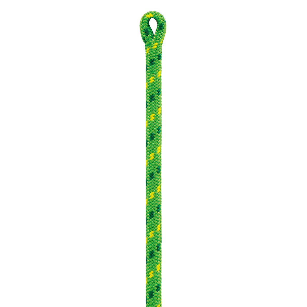 6 MM