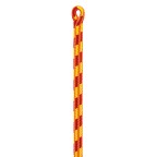 CORDE PETZL CONTROL 12