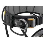 ACCESSOIRE PETZL RING2SIDE