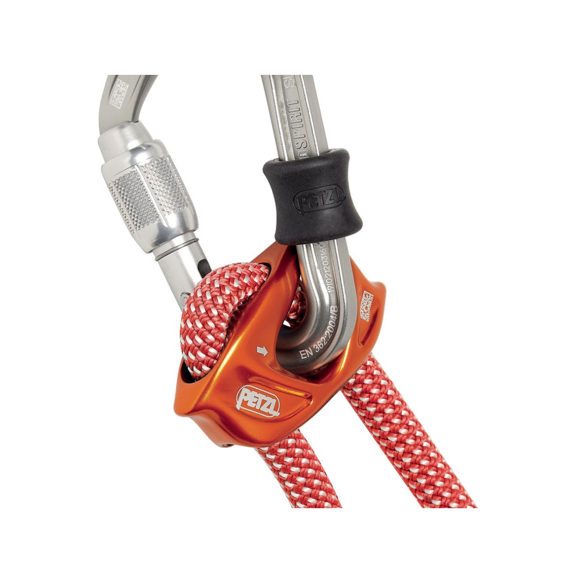 LONGE DOUBLE DISYMETRIQUE DUAL CONNECT ADJUST