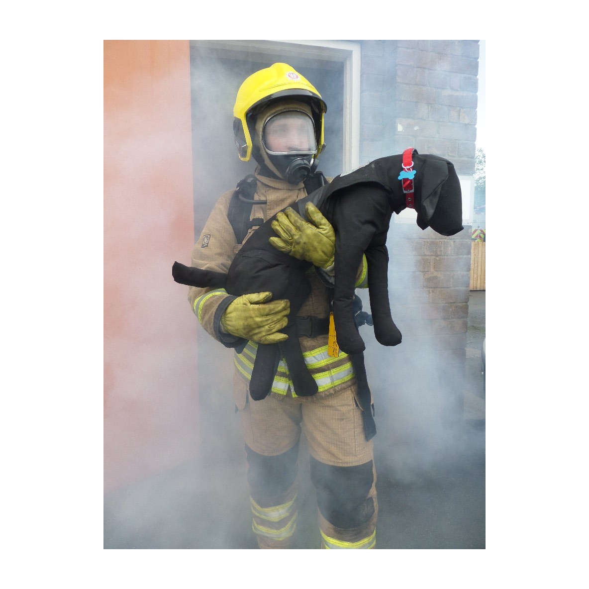 MANNEQUIN D'ENTRAINEMENT AU SAUVETAGE CANIN