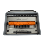 SIMULATEUR DE FLAMME PHOENIX