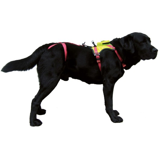 HARNAIS D'HELITREUILLAGE KRONOS POUR CHIEN